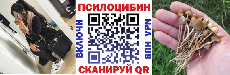 Галлюциногенные грибы Psilocybe  Купить закладки  Пестово 